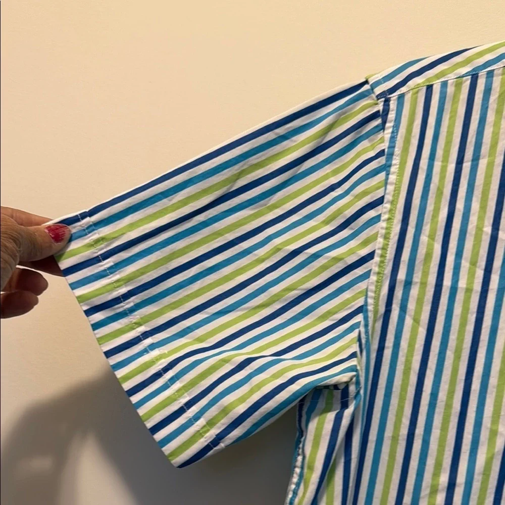 Polo by Ralph Lauren Blue and Green Casual Button Down Shirt
